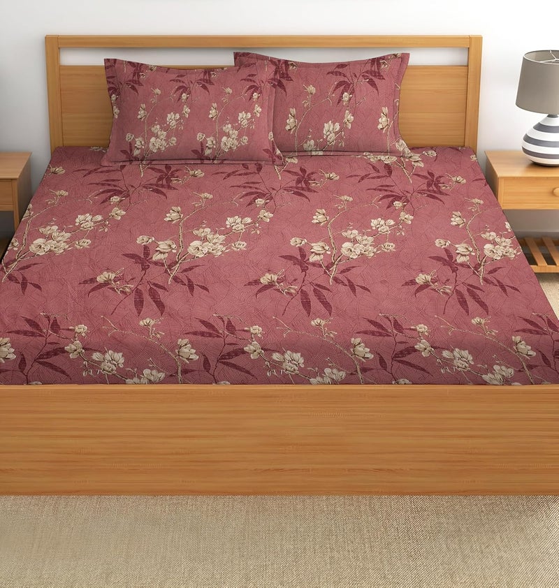 STARNSTYLE 100% Cotton Super Soft 240 Thread Count Elastic Fitted King Size Bedsheet with 2 Pillow Covers - Image 3